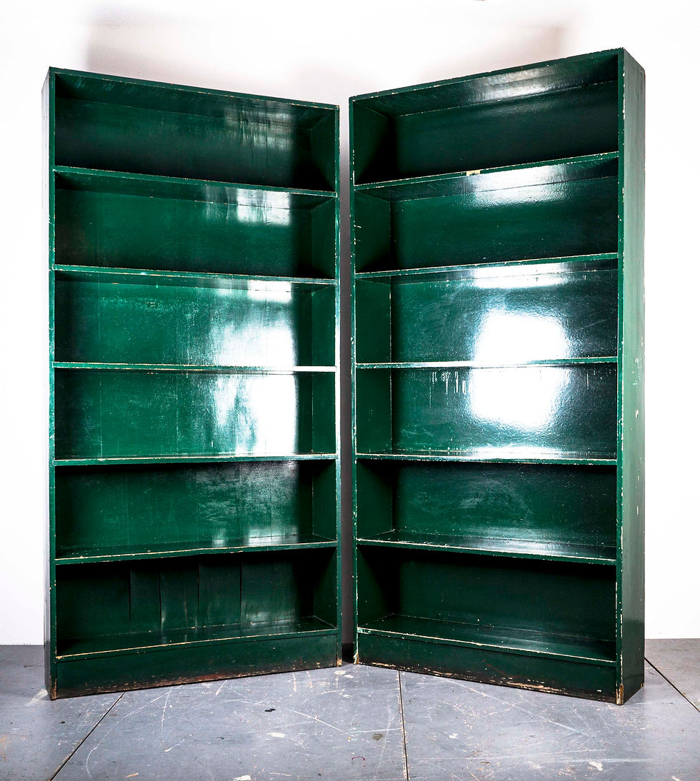 Thumbnail: GREEN ARCHIVE SHELVE