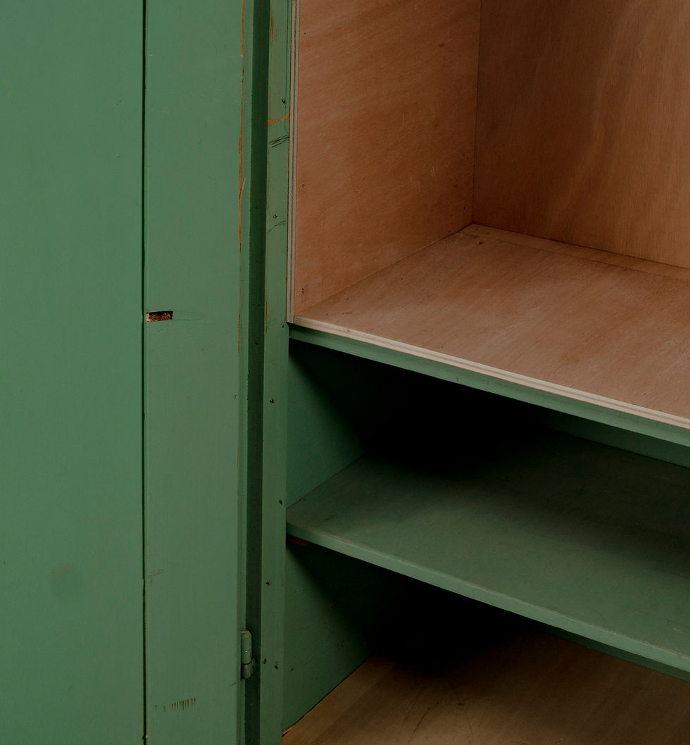 Thumbnail: LARGE GREEN INDUSTRIAL CABINET FROM THE 1950s