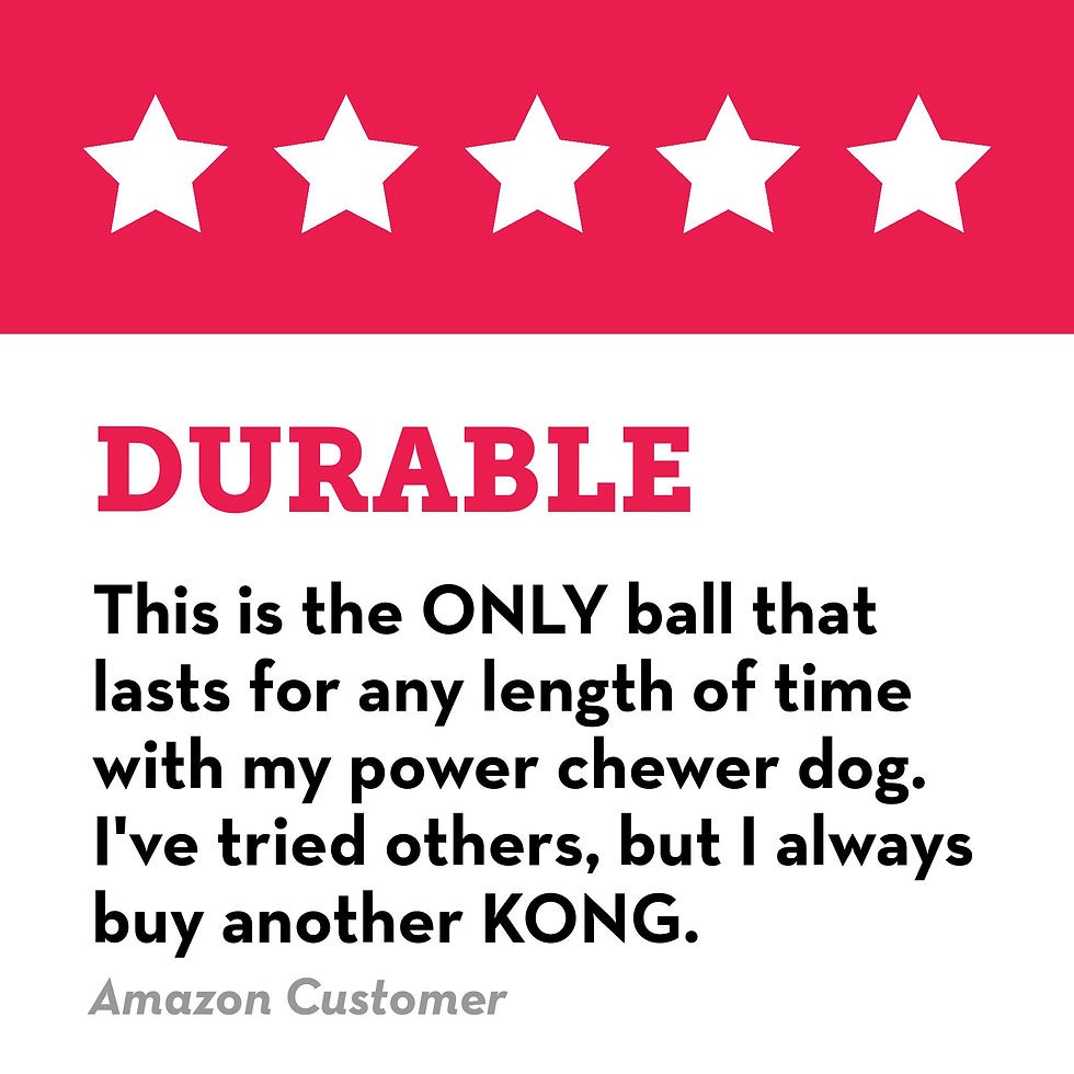 Thumbnail: PowerBounce™ Tough Fetch Ball