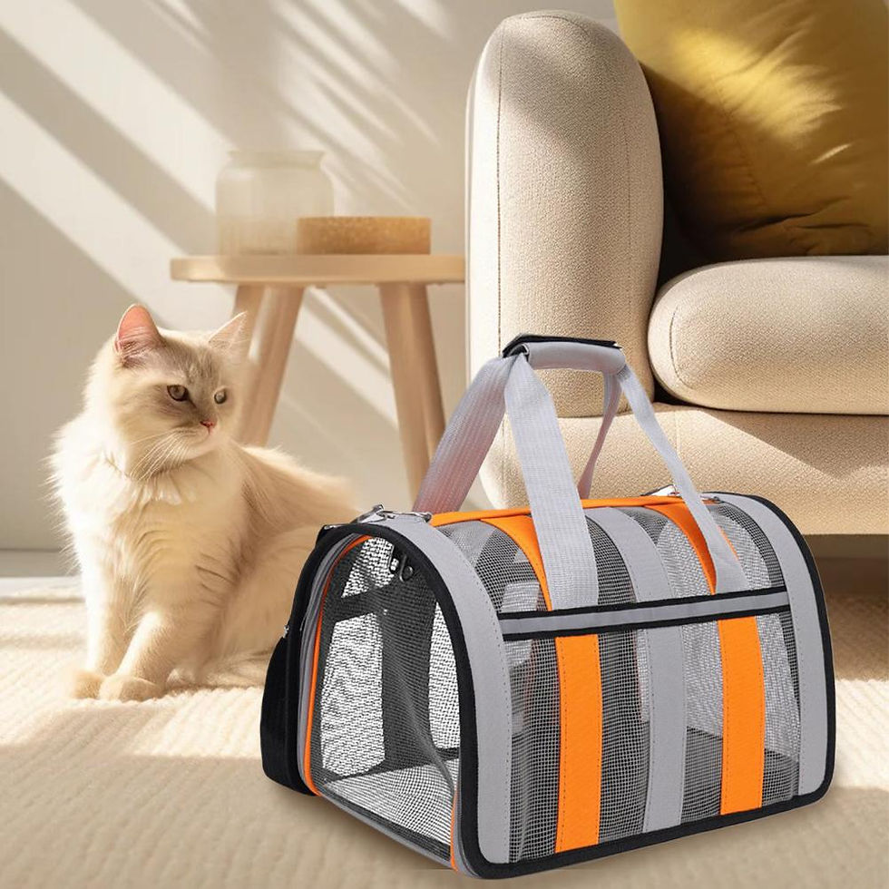 Thumbnail: TravelPaws™ Breathable Pet Carrier