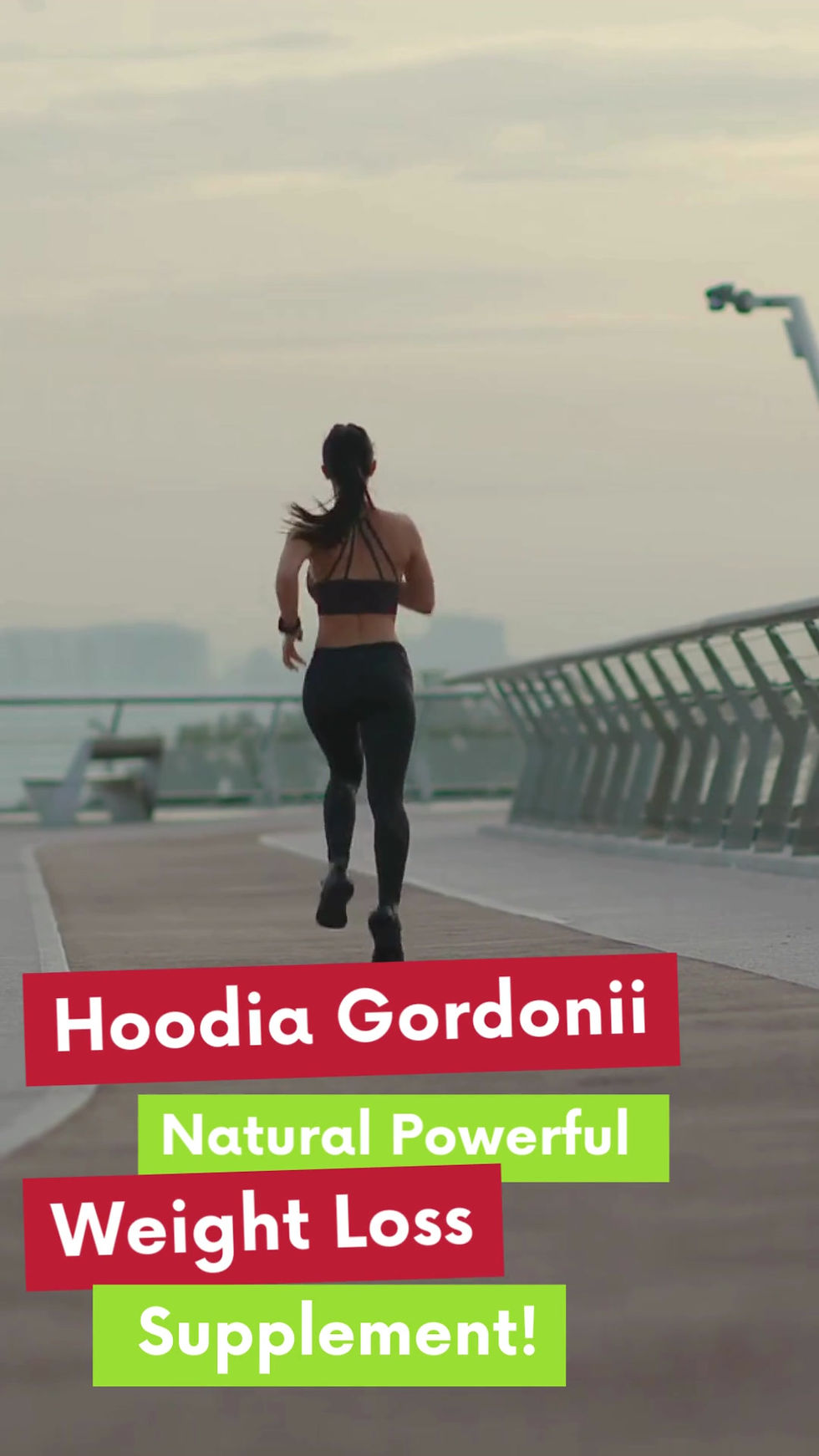 Thumbnail: Hoodia Gordonii - Natural Weight Loss and Energy Boosting Pills