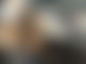 The SEND Foundation Delivers Vital 'Who Am I?' Course to Over 170 Year 8 Students