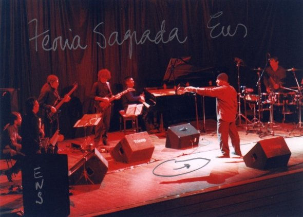 con Ensamble Nacional del Sur