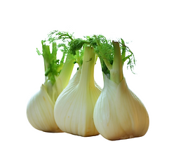 Darm gut - alles gut! Fenchel
