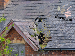 🕳️ "Leaky Gut" - Löcher im Darm