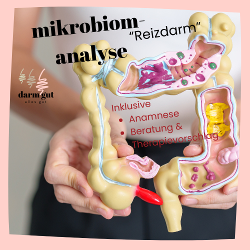 Mikrobiomanalyse Reizdarm