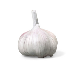 Darm gut - alles gut! Knoblauch