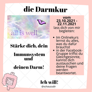 Die Anleitung für deine Darmkur