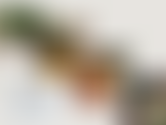 My work at the Driftwood Spars