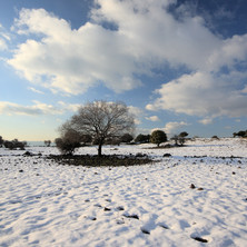 Snow Removals