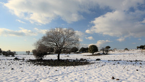 Winter is upon us