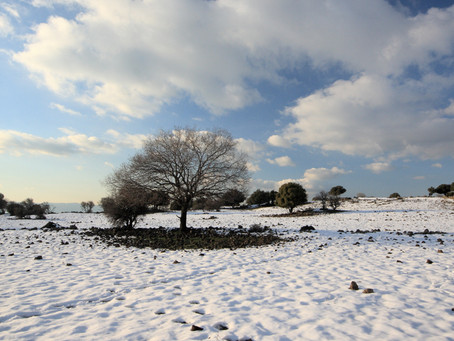 Winter Blues