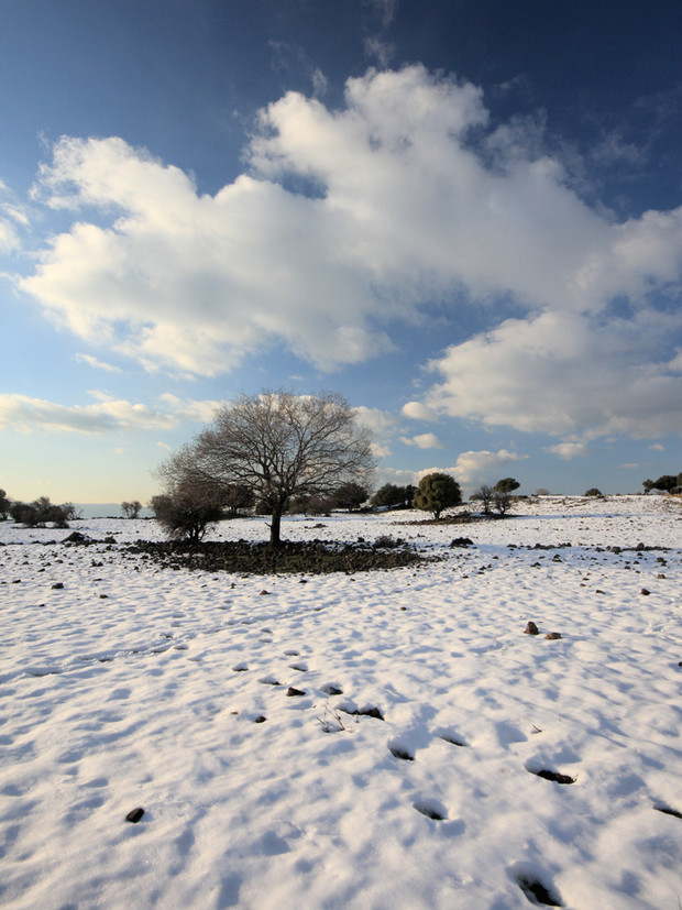 Winter is here: Winter solstice marks shortest day & longest night of the year