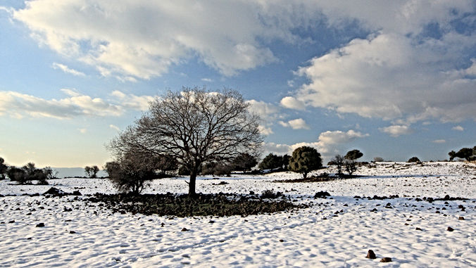 De eerste sneeuw voor 2019 komt eraan