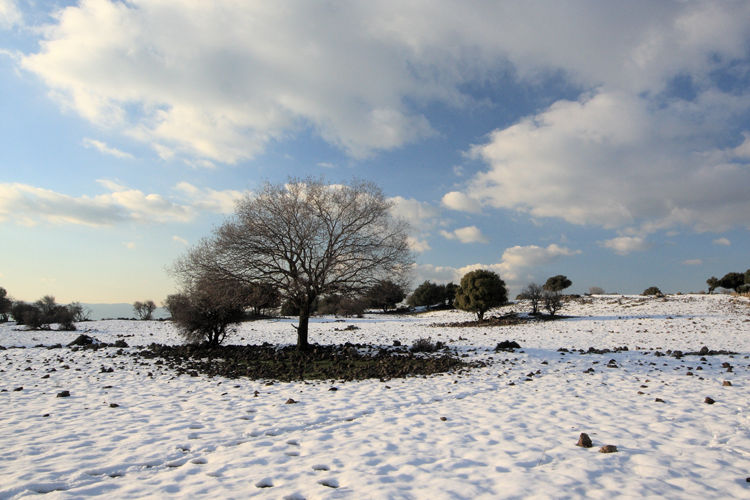 ABC of Winter