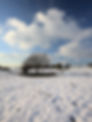 Winter Field