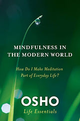 mindfulness in the modern world.jpg