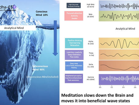 Be Resilient, Realize Your Peak Potential! by Chandra Pulamrasetti