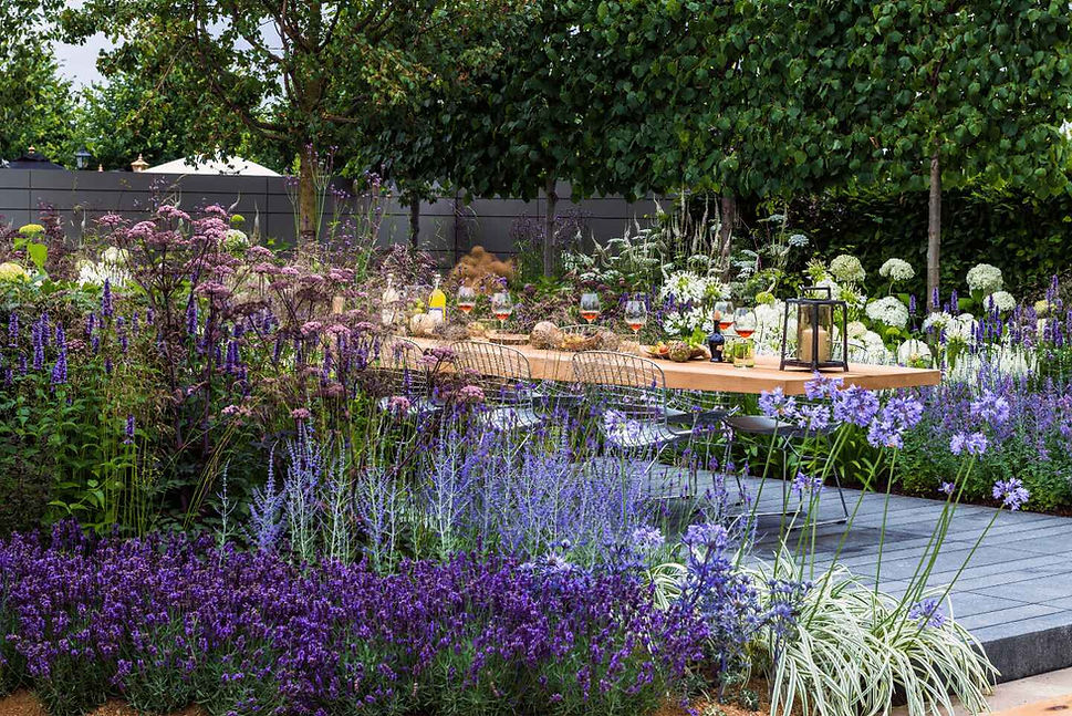 urban plot garden design-min 2 (1).jpg