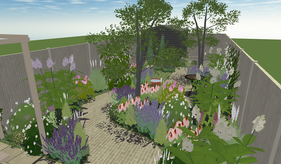 The path winds quite sharply through the space hiding the view down the garden, making the garden feel bigger than it is. The path shape also creates the opportunity for an additional dining area, which is hidden by deep planting and a tree, plus a small lawn for a dog. (See image below)
