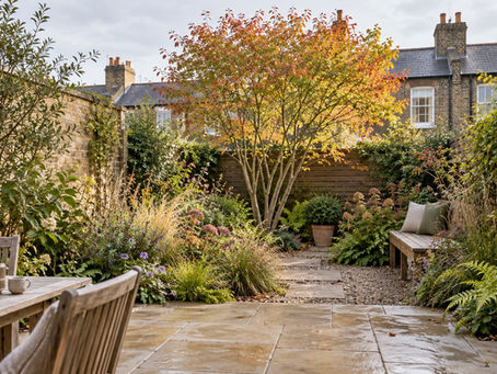 Compact British garden designed around a correctly scaled multi-stem tree with autumn colour