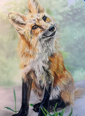 colorful-cute-fox-drawing