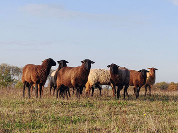 Le Val’Pôle Plessis-Gassot agrandi son équipe !