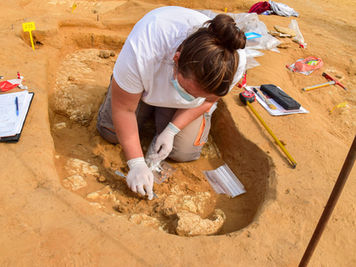 Les découvertes issues de la fouille archéologique