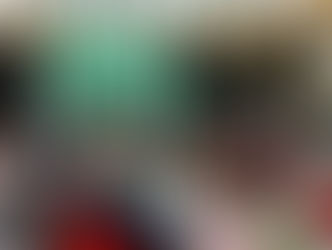 Landesversammlung in Molln