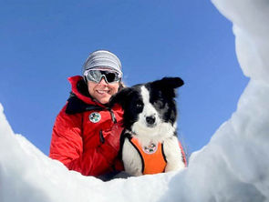 Kurs der Hundestaffel