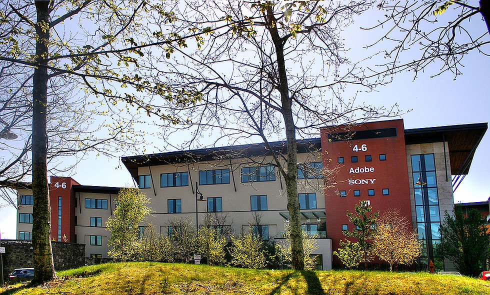 IMG_6531_tonemapped.jpg