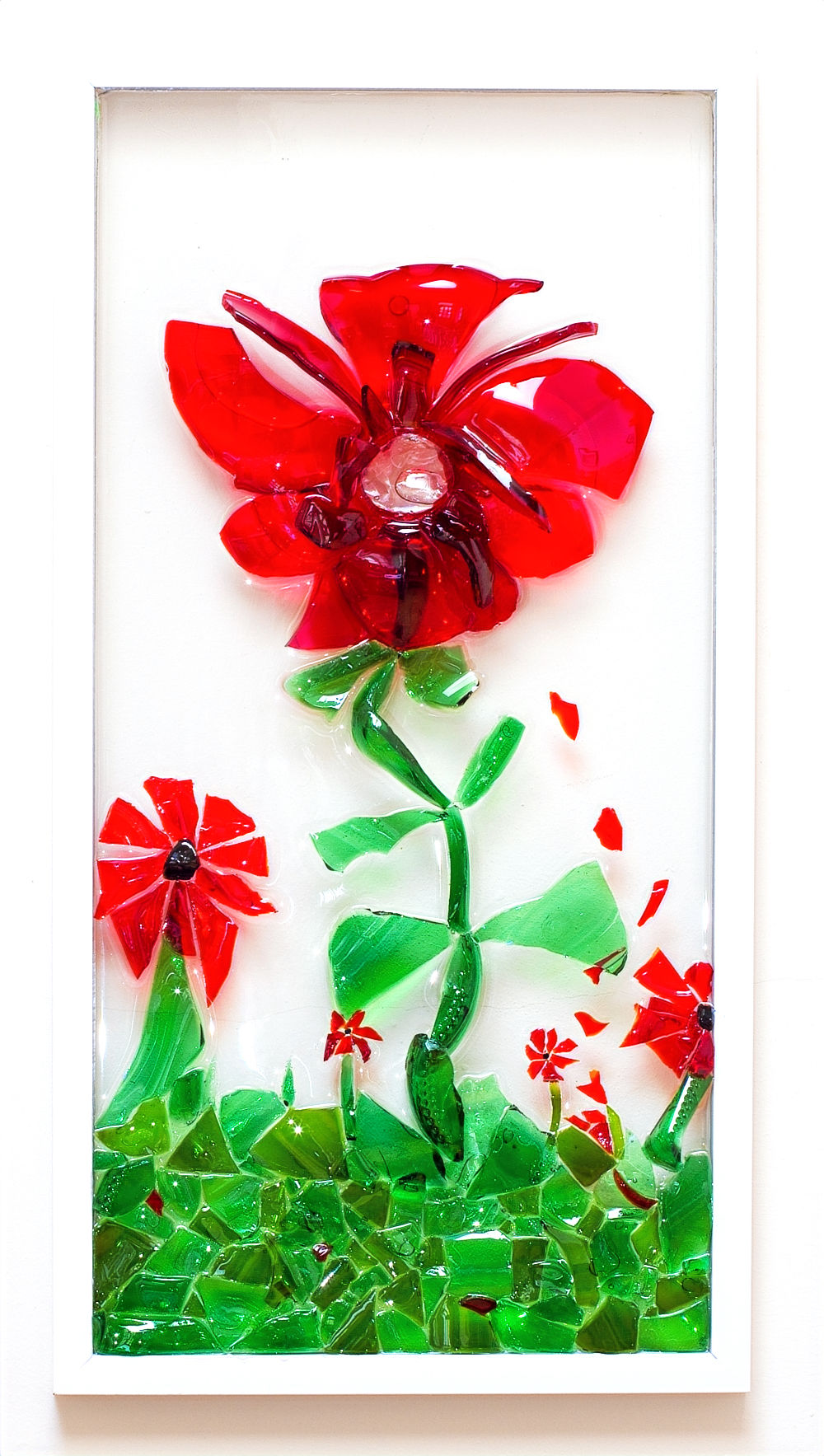 Large Poppies in Field