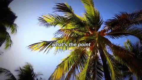 "What's The Point"