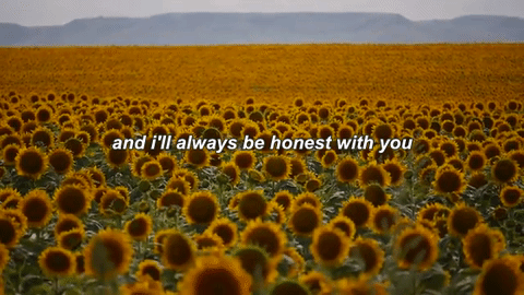"Untitled (Sunflowers)" 3/3