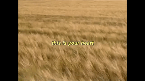 "This Is Your Heart"