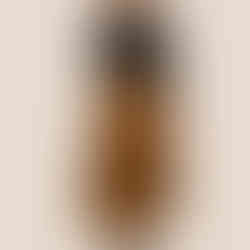 gonna nera cartamodello digitale