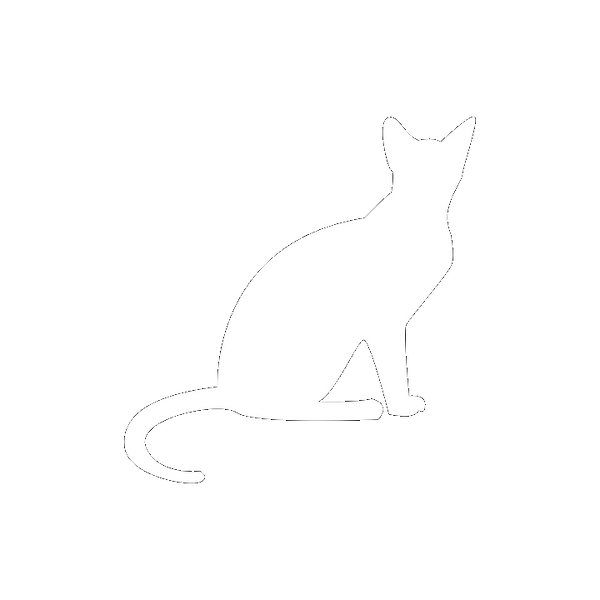 cat-1185475_960_720.png