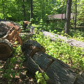 IMG_0979.JPG