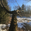 IMG_0655.JPG