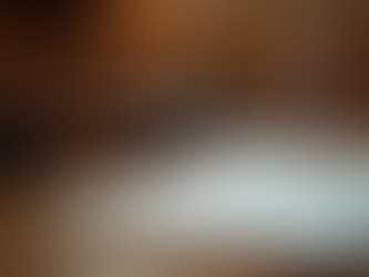 Bankruptcy Essentials for Lawyers: What Every Legal Professional Needs to Know