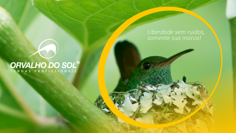 Brand - Estudo de caso