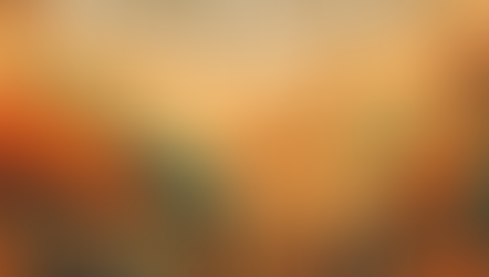 Europe’s Must-Visit Book Fairs and Literary Festivals in 2026