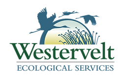 _WES_Logo.png