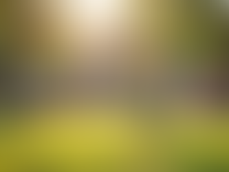 Understanding Our Mission: Driving Change and Inspiring Action