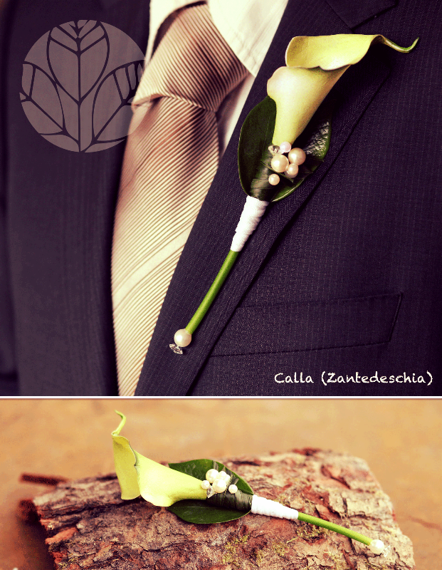 Calla_edited