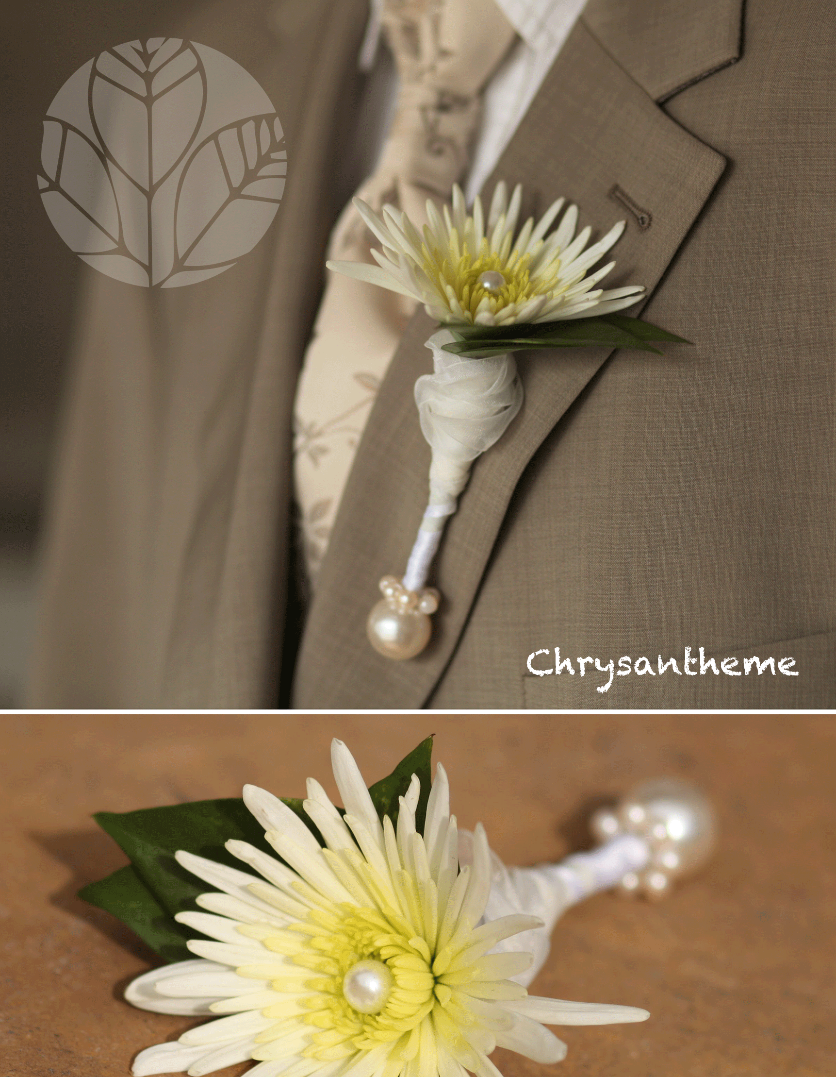 Chrysantheme