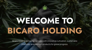 Bicaro Holdings