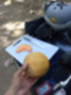melon
