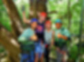 Canopy 1