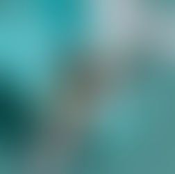 Two Roosters Ice Cream hosts Jaccob Slavin Social March 29th 3-5 pm